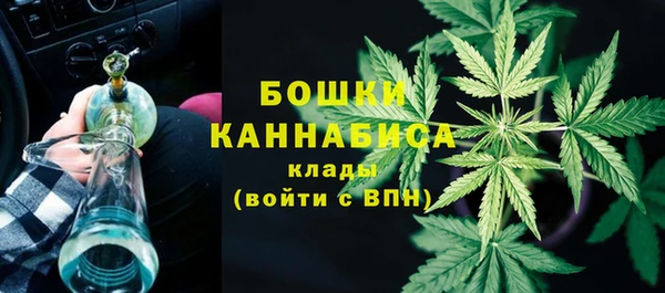 спиды Бородино