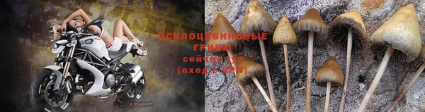 мяу мяу кристалл Верея