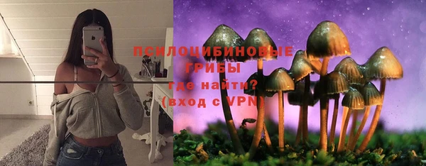 СК Верхний Тагил