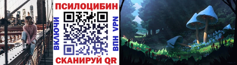 Галлюциногенные грибы Psilocybine cubensis  OMG маркетплейс  Новоржев 