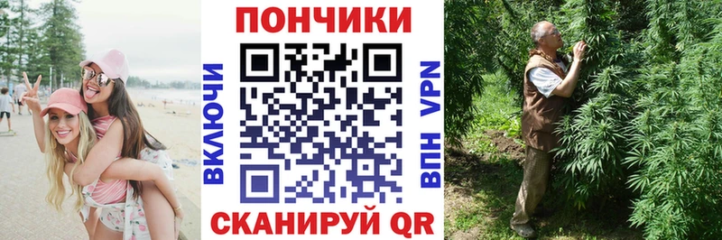 Канабис семена цены нарко площадка формула Новоржев